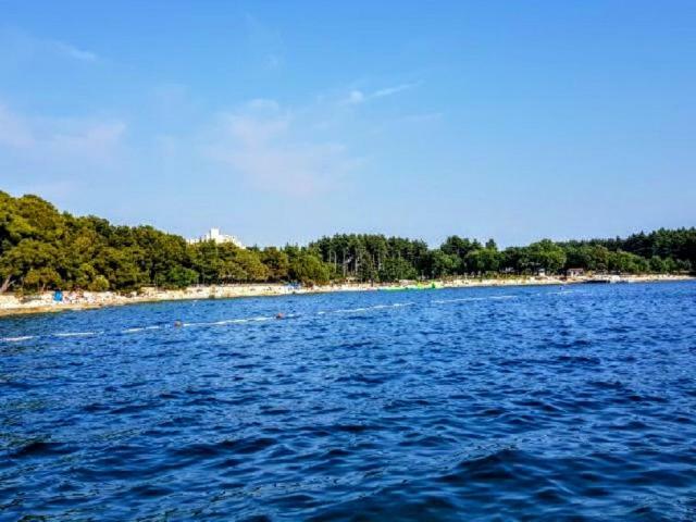 Apartament Apartman Maslina Poreč Zewnętrze zdjęcie