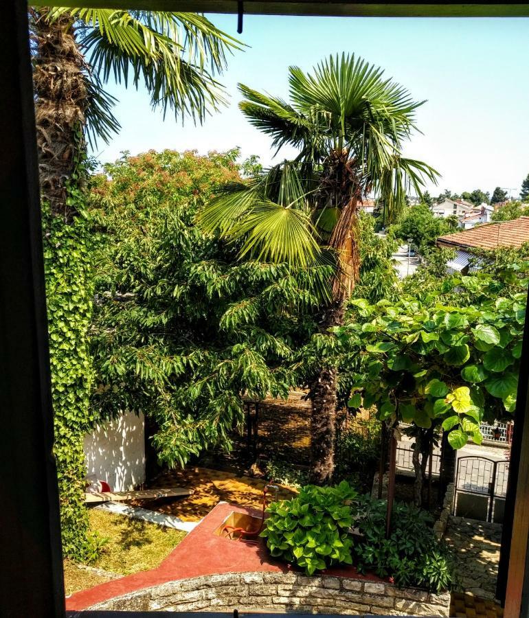 Apartament Apartman Maslina Poreč Zewnętrze zdjęcie